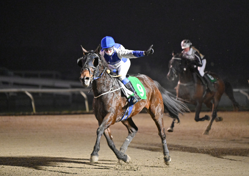 Kort nyt fra ind- og udland MARILYN_DSC_6366