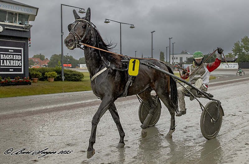 Lunden – Sejr til Maximus Mosebo MAXIMUS_MOSEBO_D2I9131