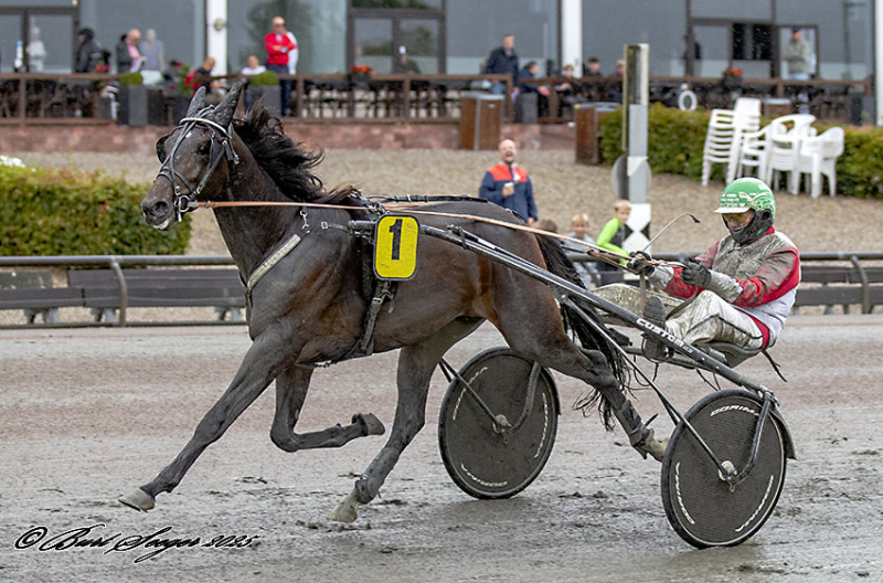 MAXIMUS MOSEBO S2 6577