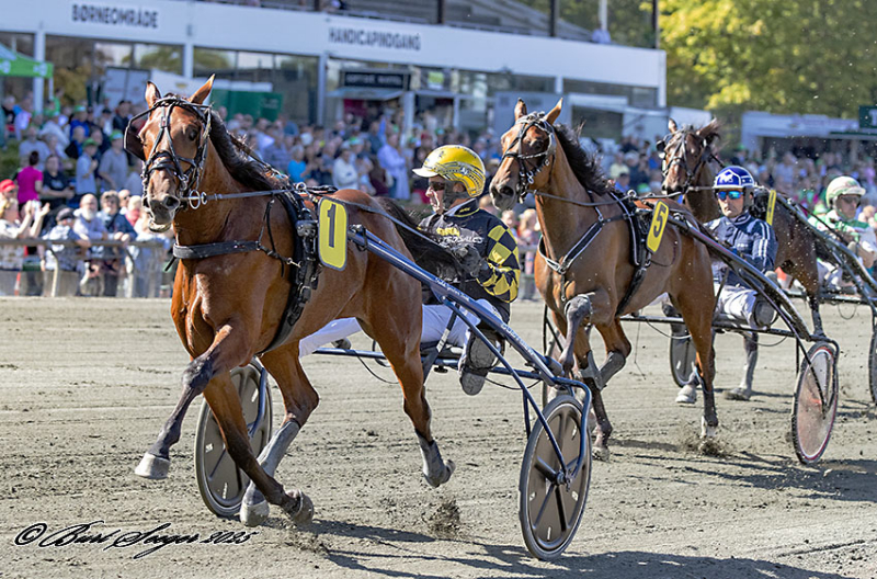 Sådan gik det på Charlottenlund Travbane MENZA_S2_8618