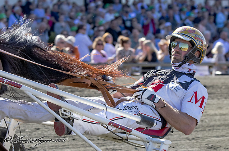 MICHAEL L NBORG S2 8773 1