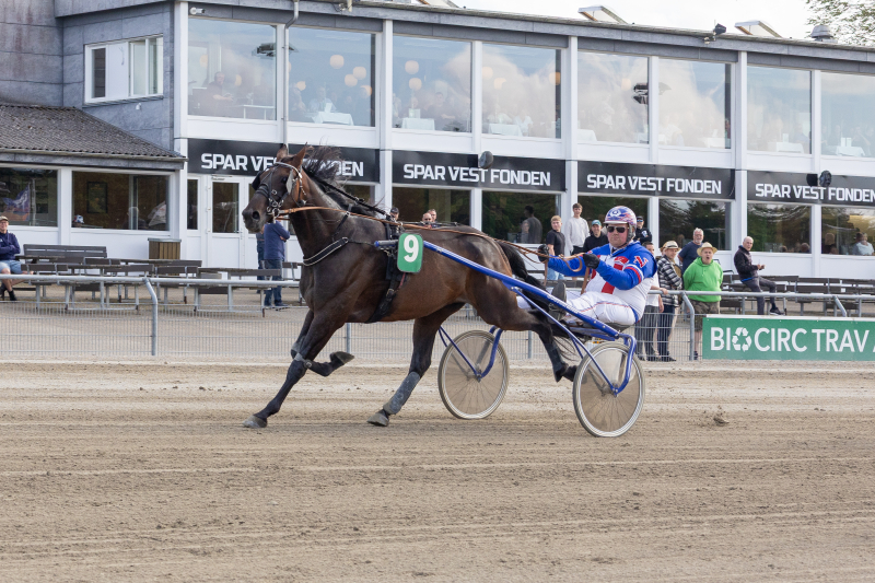 MILK AND ALCOHOLE SE 1 1