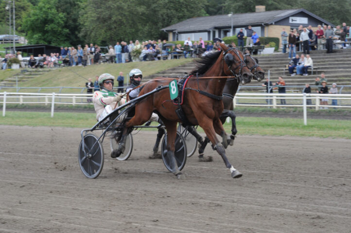 MagnusTinghoej 9711