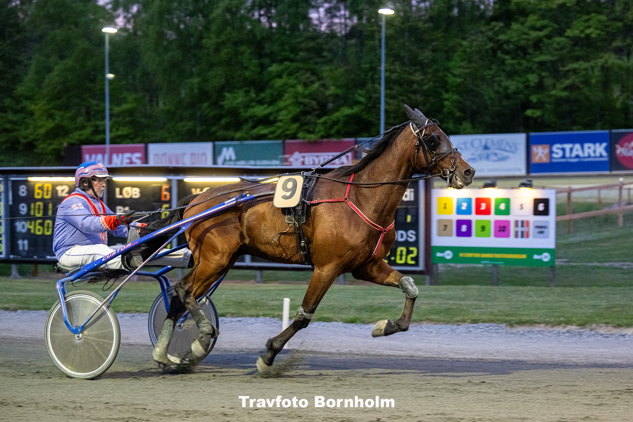 Marvin Gaye md Kenn Christoffersen 17 maj 2025 Fotograf Torben Ager Travfoto Bornholm TKA 9633