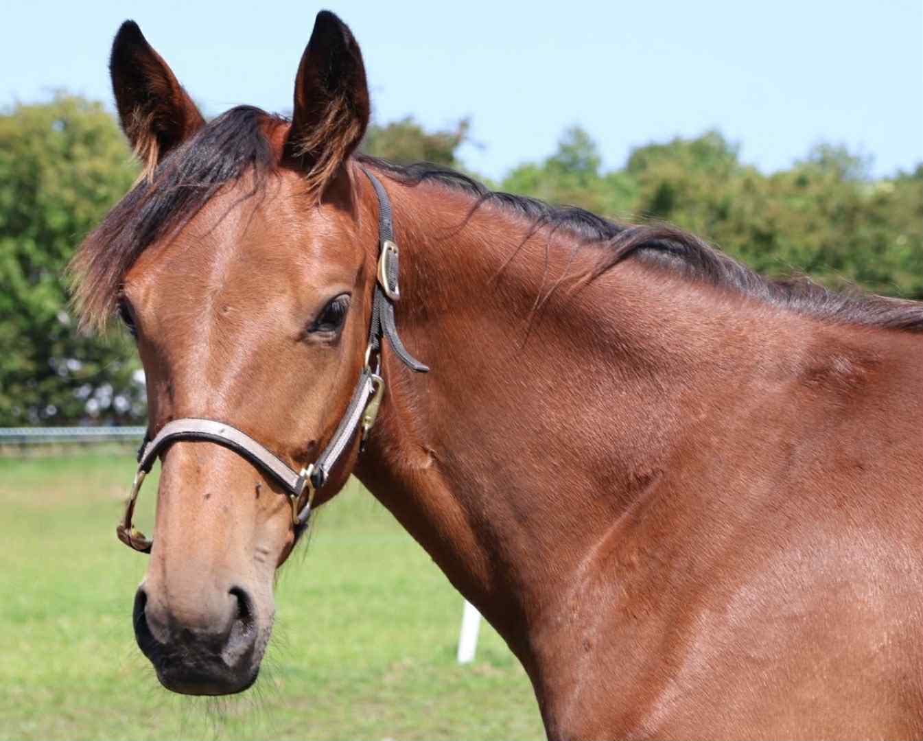 Kort nyt Messenger_creation_0BC4E780-A195-448A-BBED-87B18EB28A9D