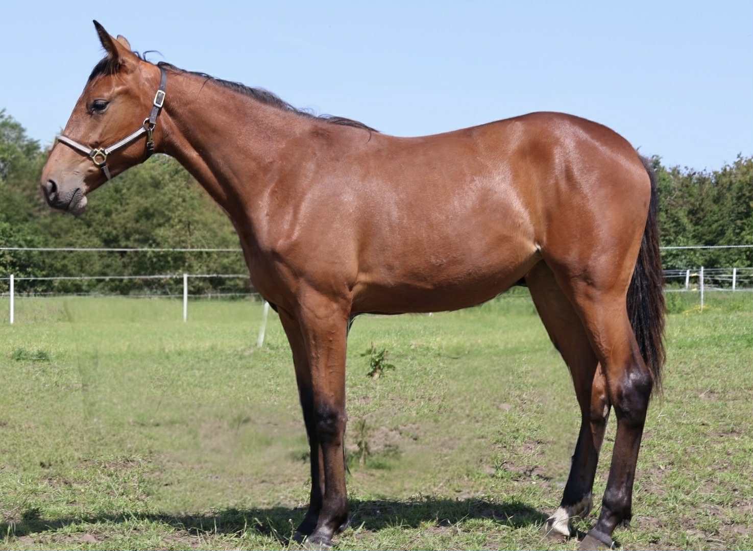 Messenger creation 5ACAE099 39CC 4EB3 9267 500B6D13D635