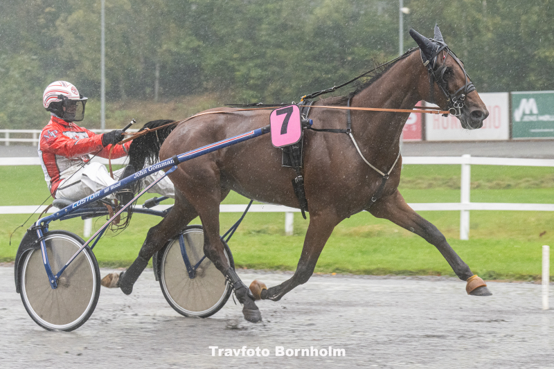 Mister B B med Mads Petersen 4 oktober 2025 Fotograf Torben Ager Travfoto Bornholm TKA 2919
