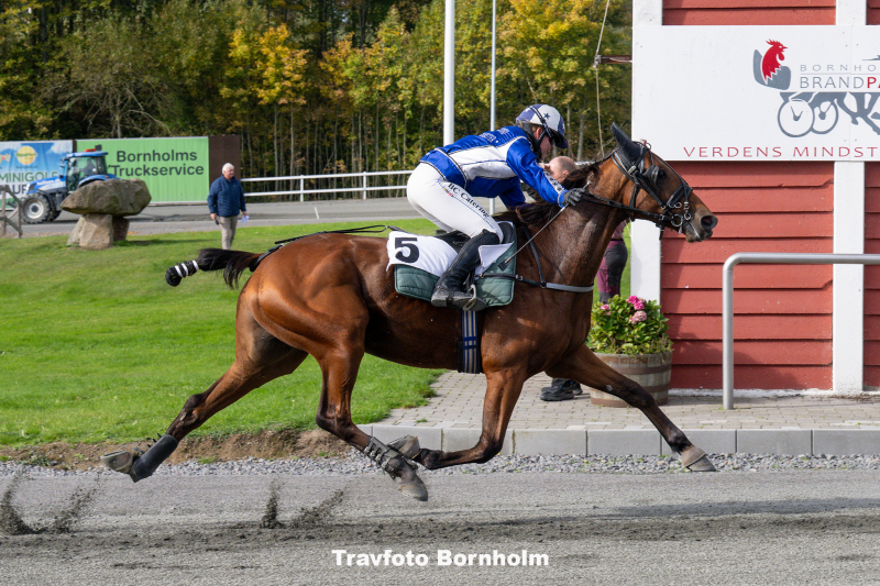 Kort nyt fra ind- og udland Mister_B_B_med_Michala_Haagensen_11_oktober_2025_Fotograf_Torben_Ager_Travfoto_Bornholm_TKA_3213