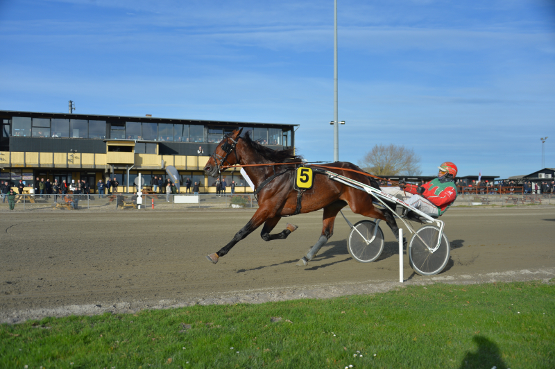 Sådan gik det på Falster Monkey_Osted_Antik_251116