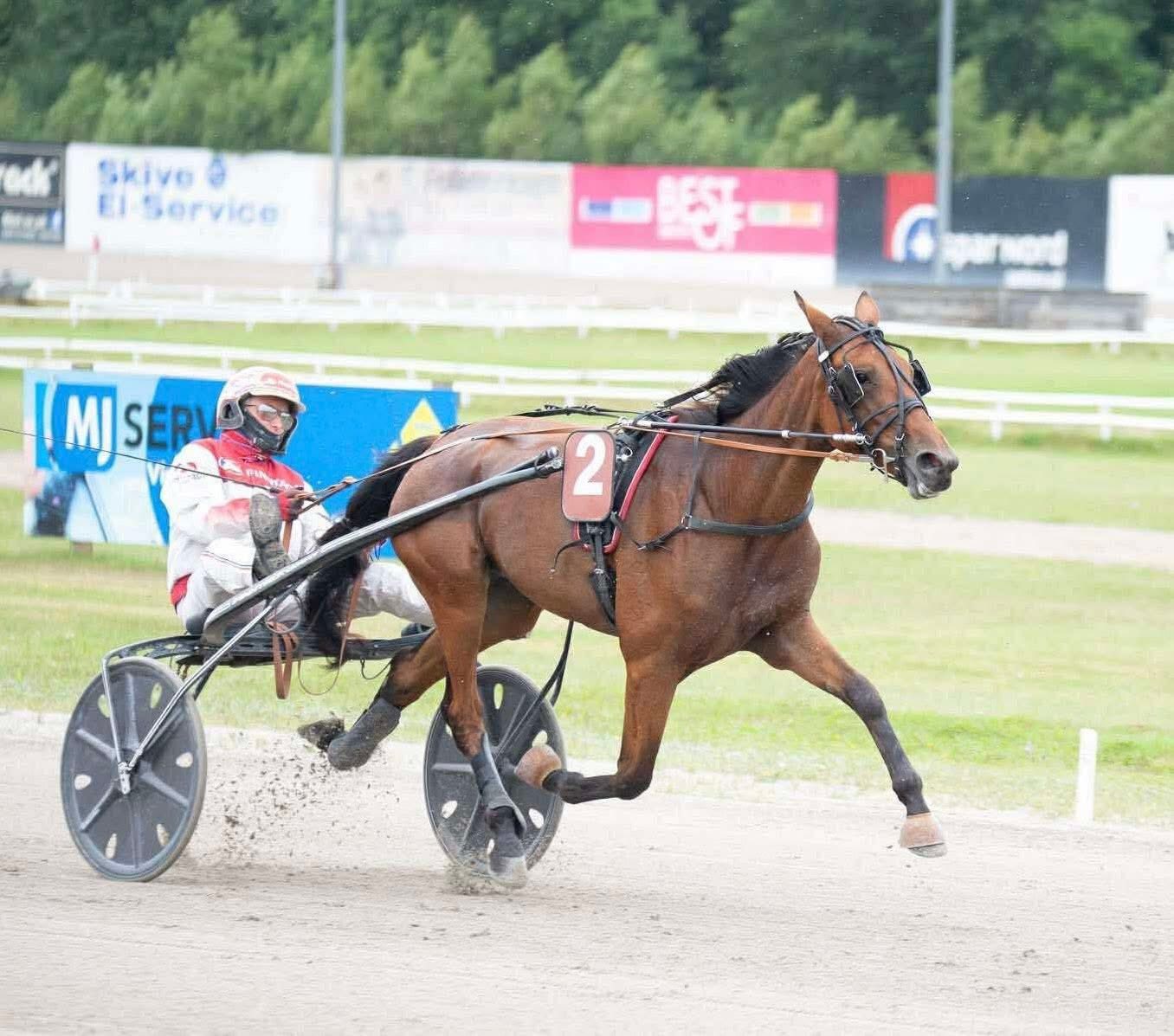 Maserati Flamingo og Flamingo Knud – Dansk travhistorie Mserati