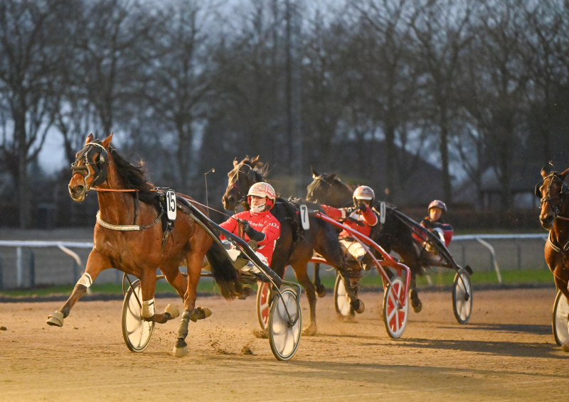 NEW YORK LOBELL DSC 6135 1