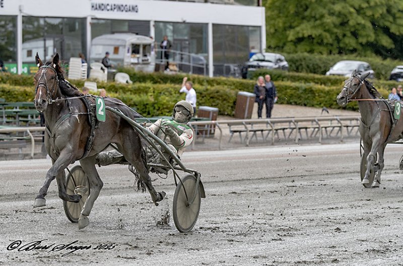 NIKITA S BUCK S2 6713