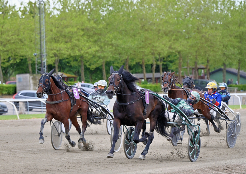 NOBBY STILES DSC 5111