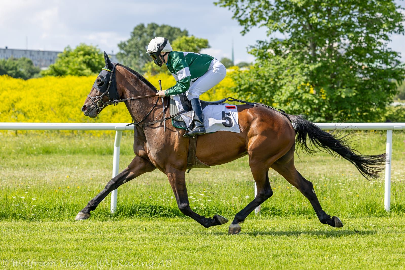 Salgsmenuen - Bredt udvalg RamseasStatement