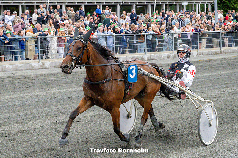 Readytorace Bira med Michael Loenborg 16 juli 2025 Fotograf Torben Ager Travfoto Bornholm TKA 5795