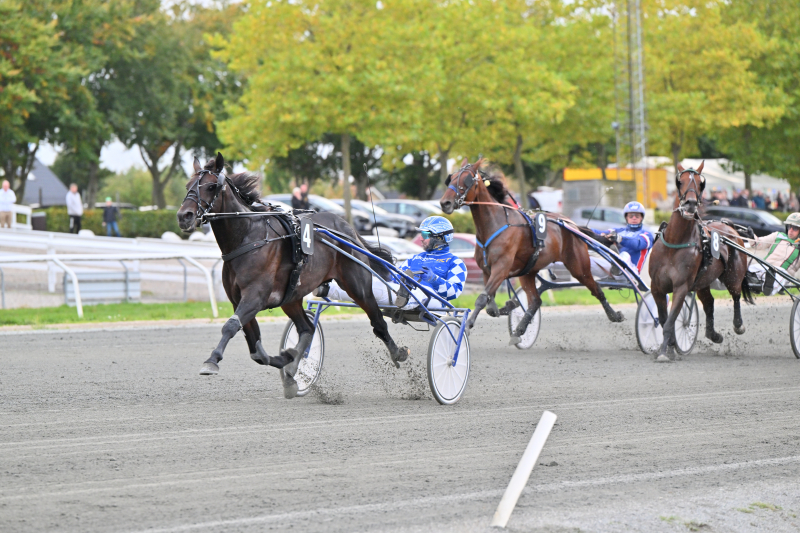 SEVEN NATION ARMY NZ9 0387