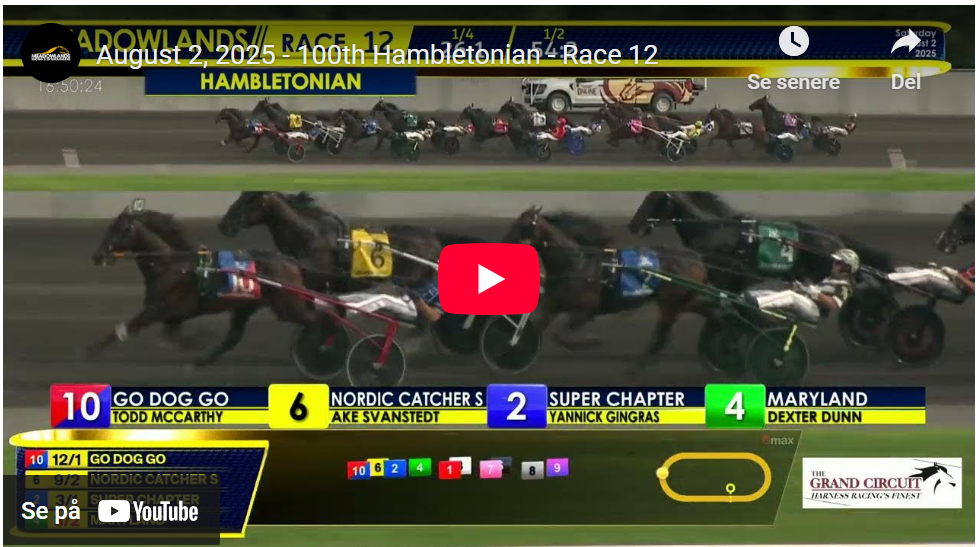 Skaermbillede 2025 08 02 235445