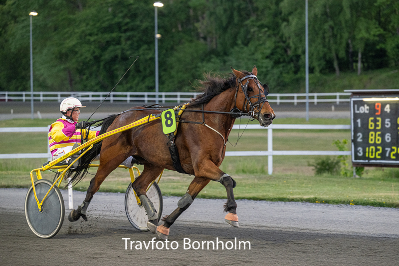 So tough med Ole Bager 26 maJ 2026 Fotograf Torben Ager Travfoto Bornholm TKA 4459