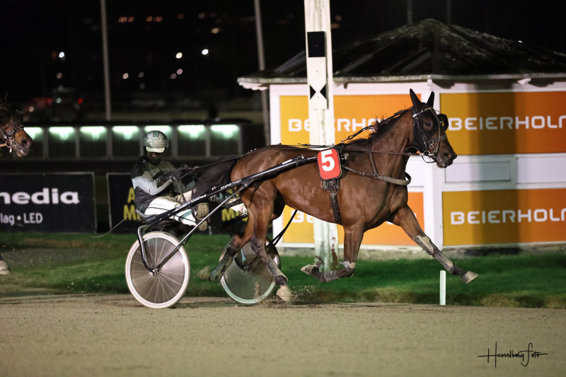 Kasper Foget klar som professionel travtræner Starcatcher_5523-1