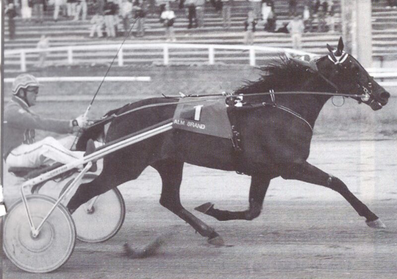 Steen uul Wishful Sid Jyds Hoppe GP 1996 e1624616807598