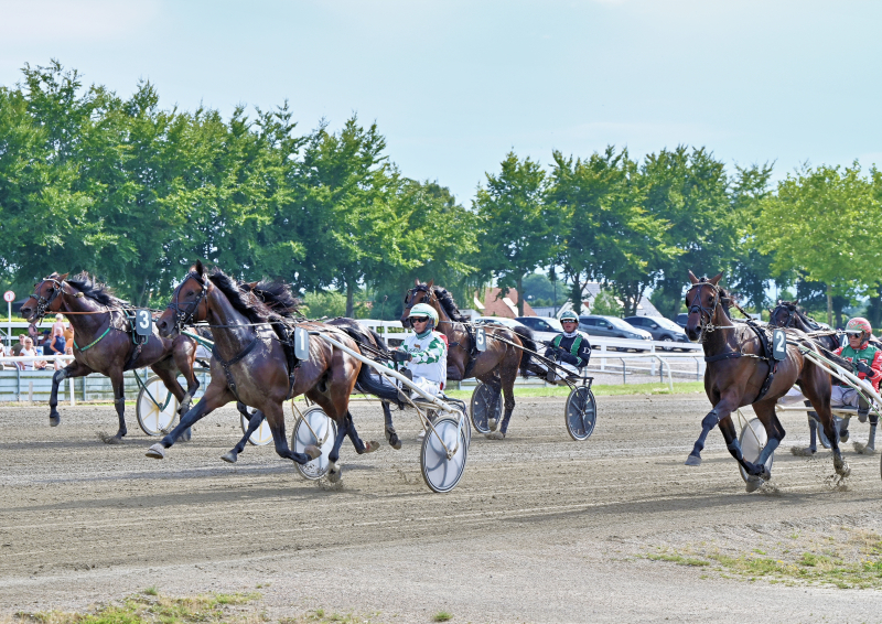 THINKER MONKEY DSC 1204