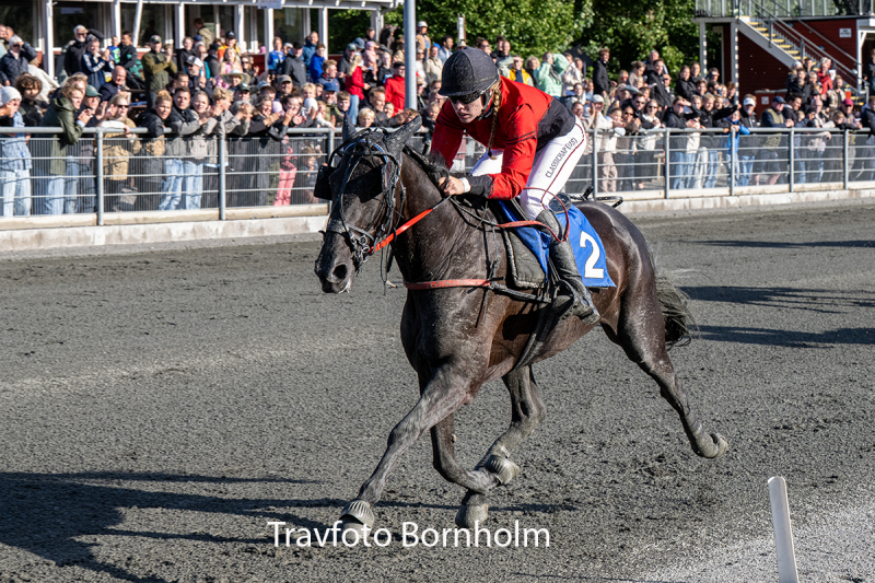 Tiger Lily H S med Camilla Munk Boeck 7 juli 2026 Fotograf Torben Ager Travfoto Bornholm TKA 8053
