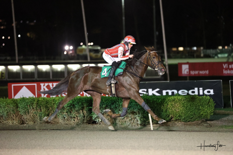 Kort nyt fra ind- og udland TourEiffel_4935
