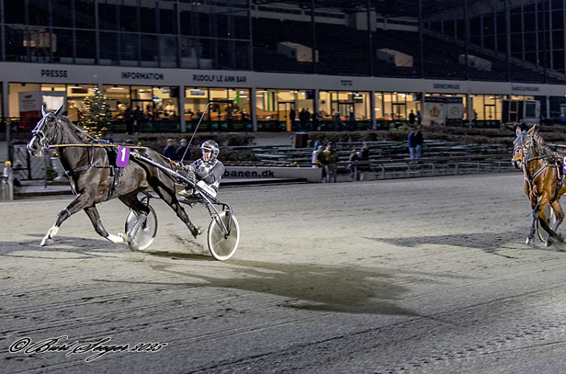 VIXI FOREVER S2 4136