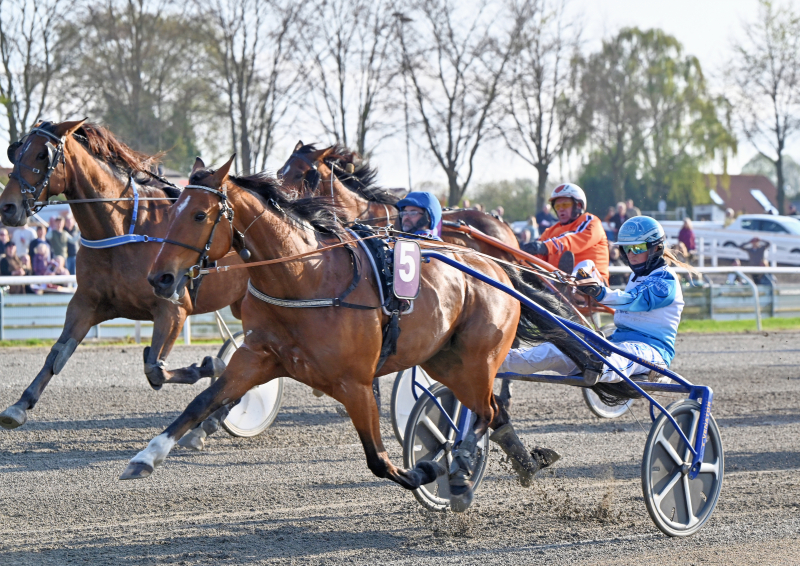 Kort nyt WHITE_LIGHT_ANT_DSC_2976