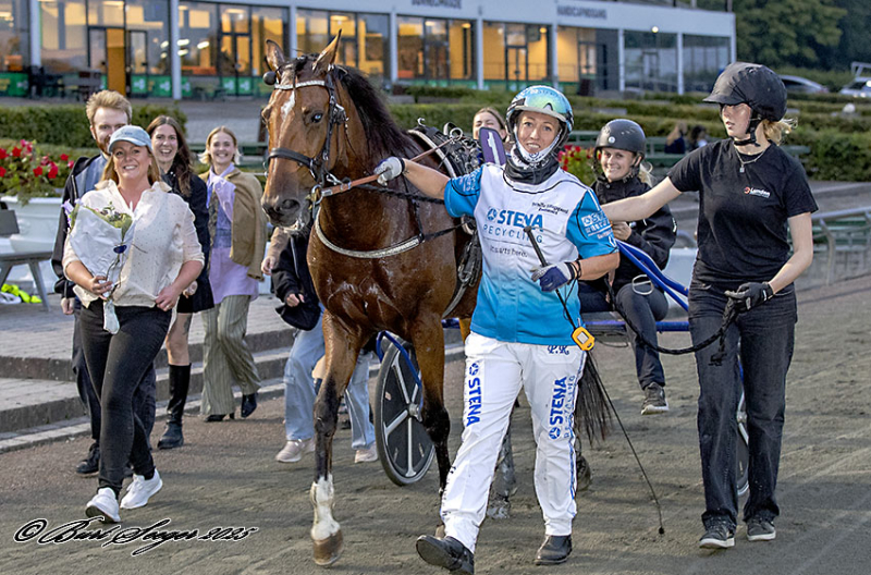 WHITE LIGHT ANT S2 9605