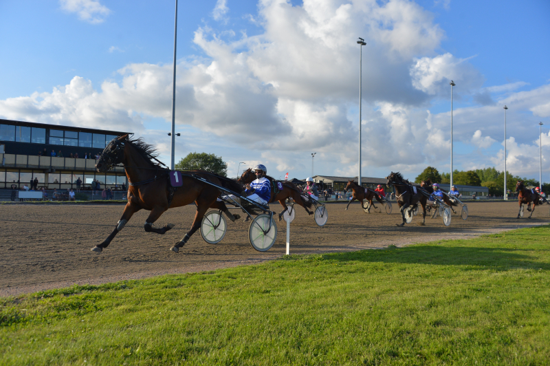 Yagger Millpond 250731