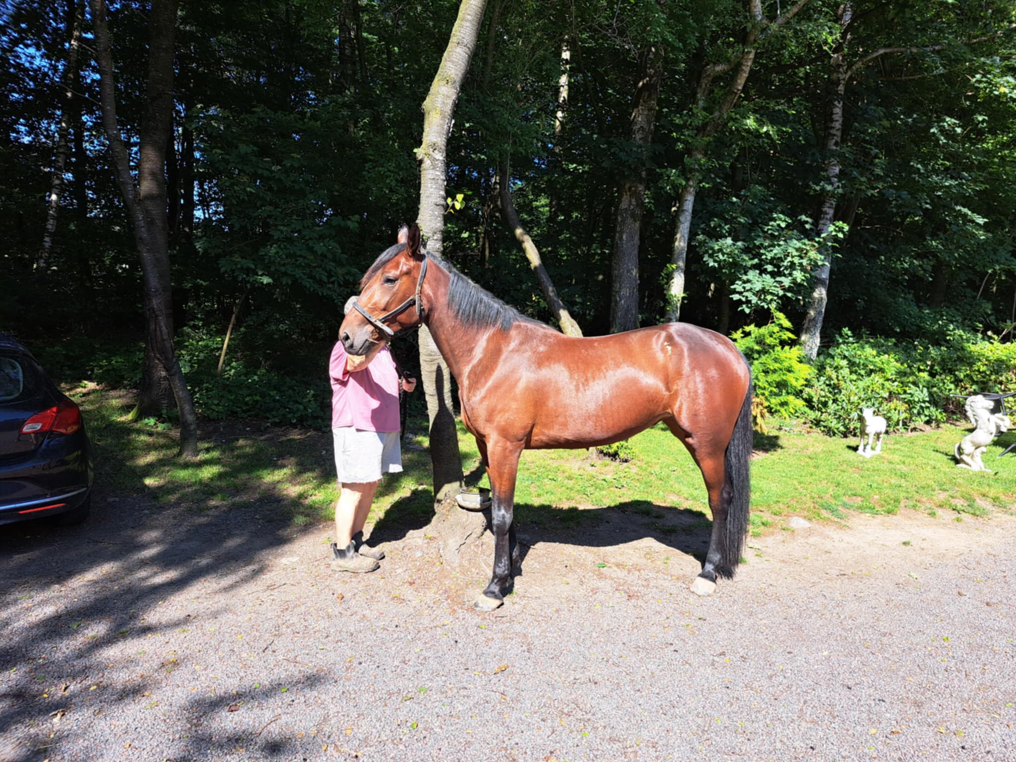 a1f3e420 22a3 44f8 ba51 6575aa50e0a5