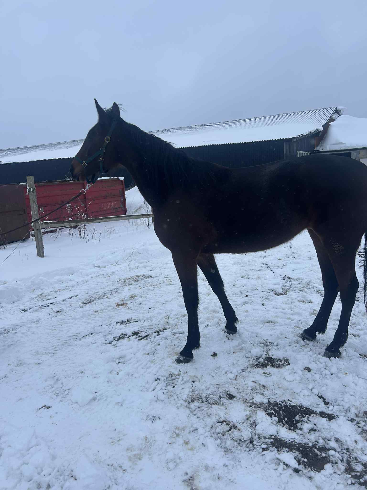 a361f107 9f12 44e0 9718 6f10ced69c91