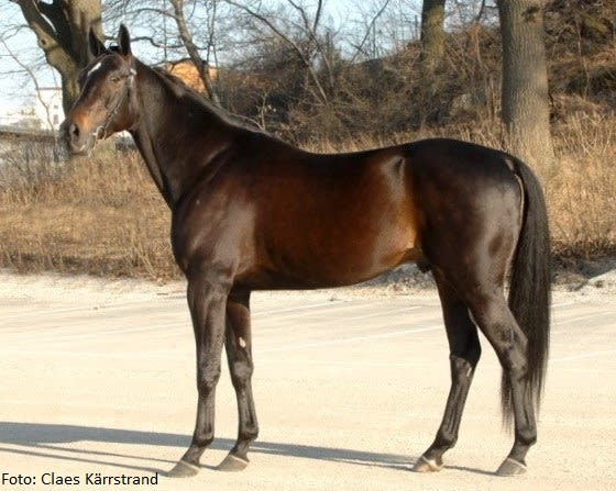 Historisk præstation af Aetos Kronos aetos-Kronos-opst