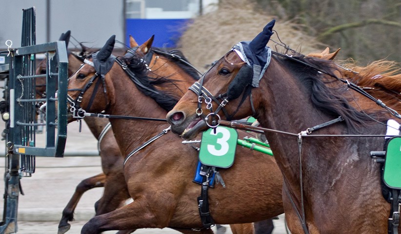 Kort nyt fra ind- og udland autostart-120418_89f1835-6