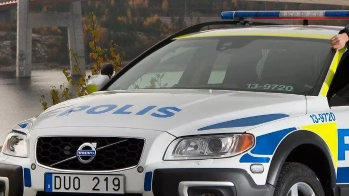 Hest påkørt af bil bb212ad702a53