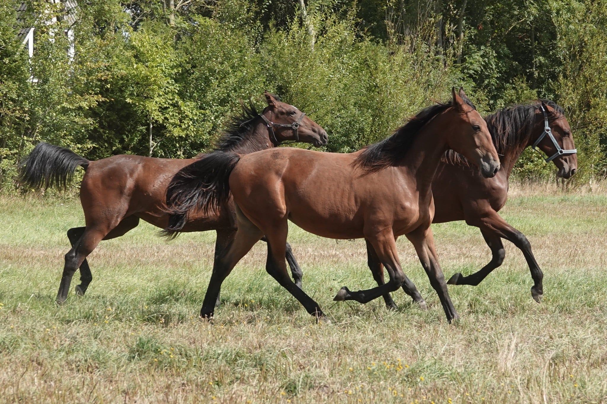 c34f2114 a2cf 4cf4 8b47 cdc415387453