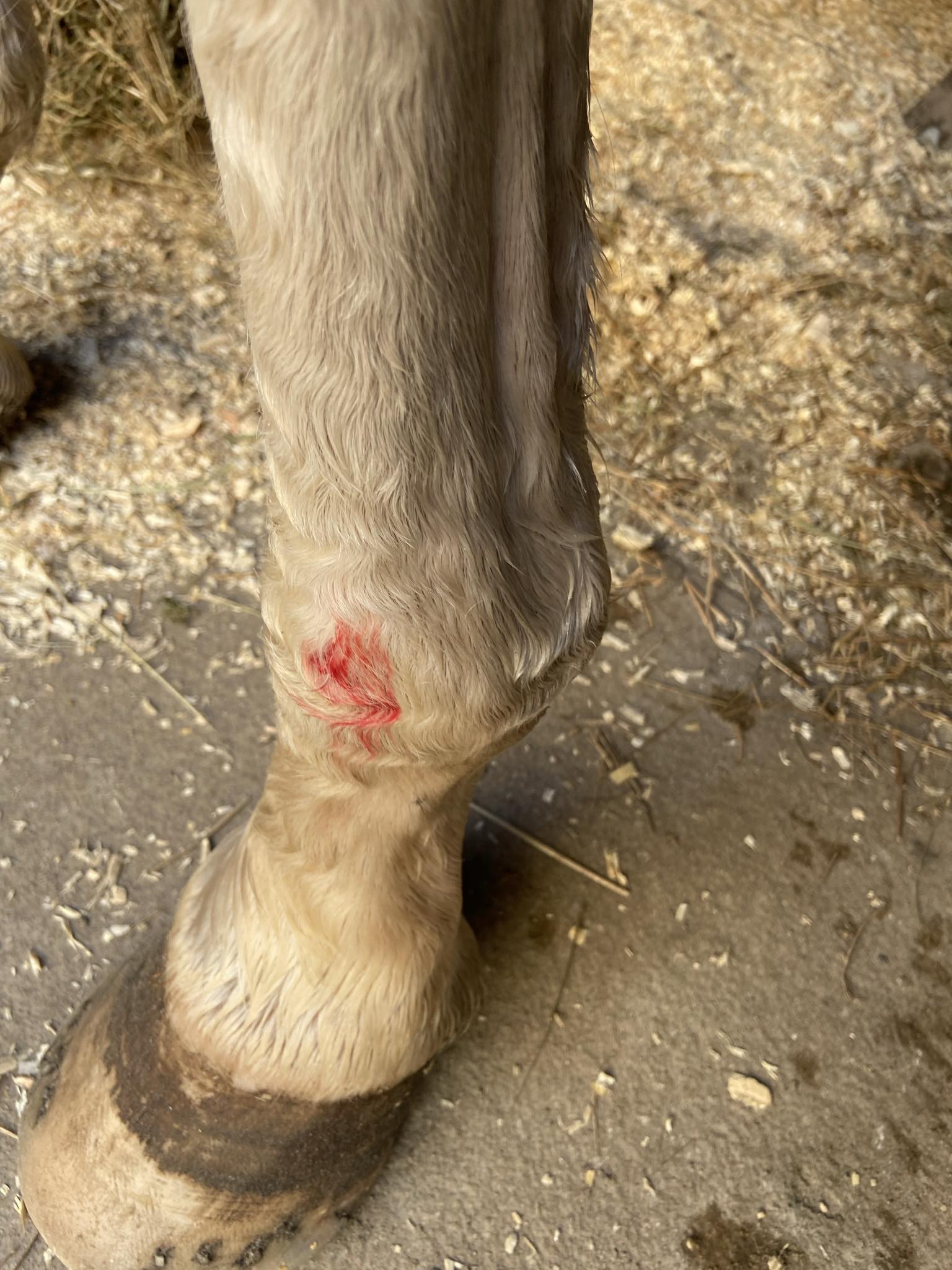 c8c64892 5cc9 43db 8cba 3c2a866e9a5e