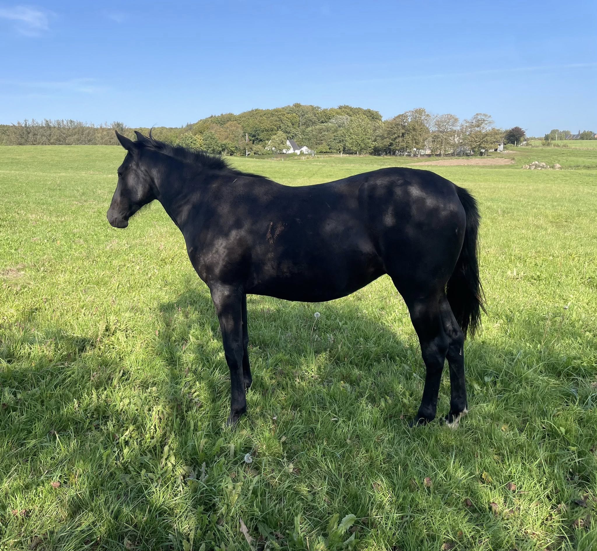 Call Your Neighbours udbydes call-your-neigbours-2-1