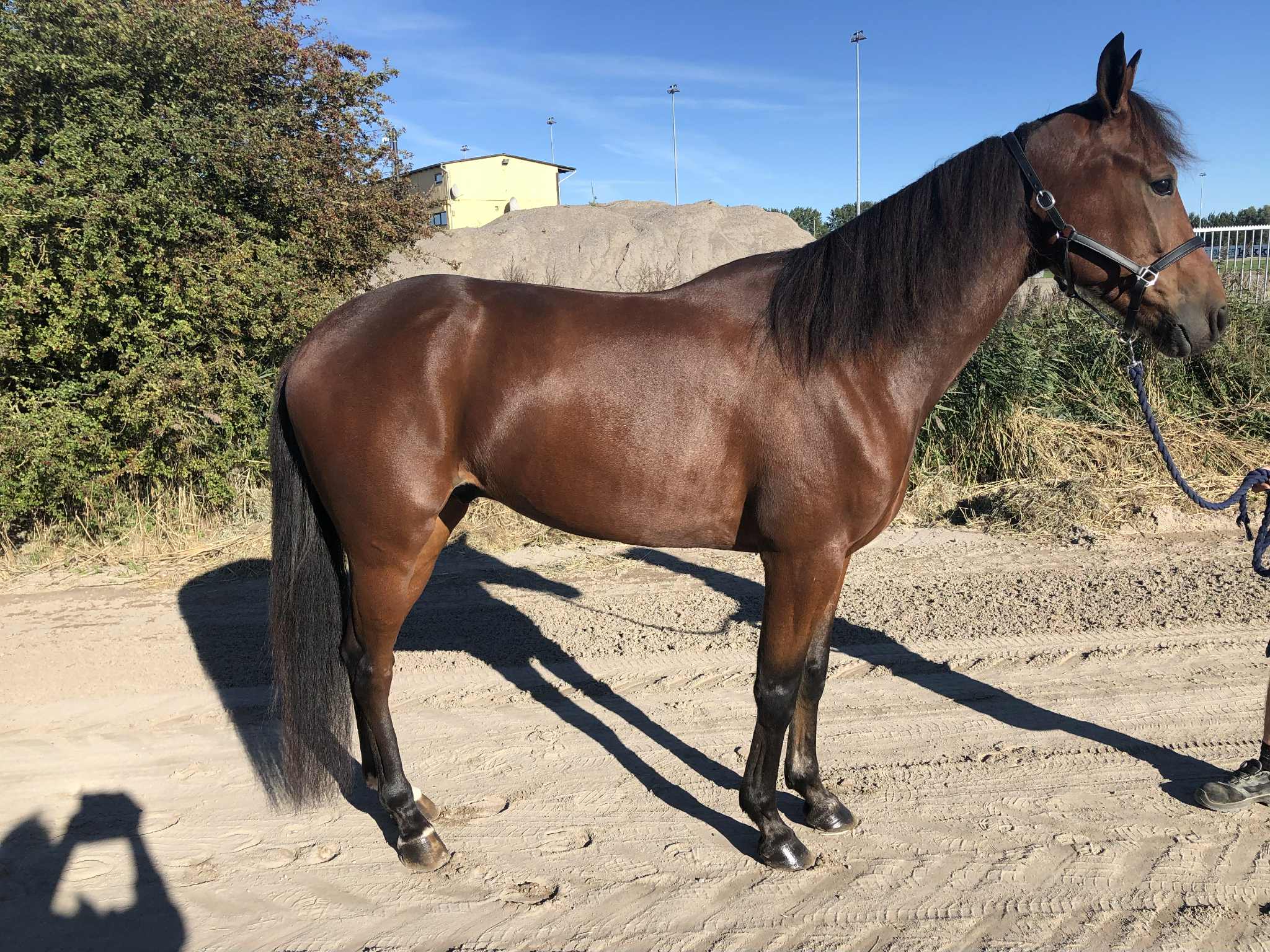 d9671de6 68da 4a9f aee5 341ee692ead3