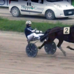 King Nobel udbydes – fem sejre i 20 starter e
