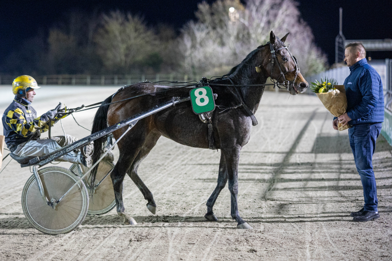 e norway is my way 2 1