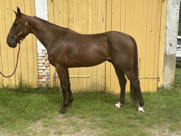 Salgsmenuen - Sådan ser det ud i dag ec4740dde9c27a7aa5b39d0fc553b914