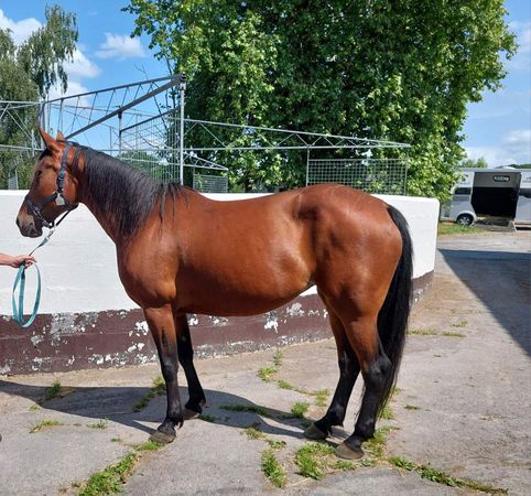 fa9f59d5b2b2984ff44bf142712440fa