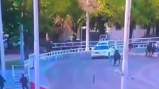 Tragisk ulykke: Tilskuer kæmper for sit liv fc6d8bdb23ee1