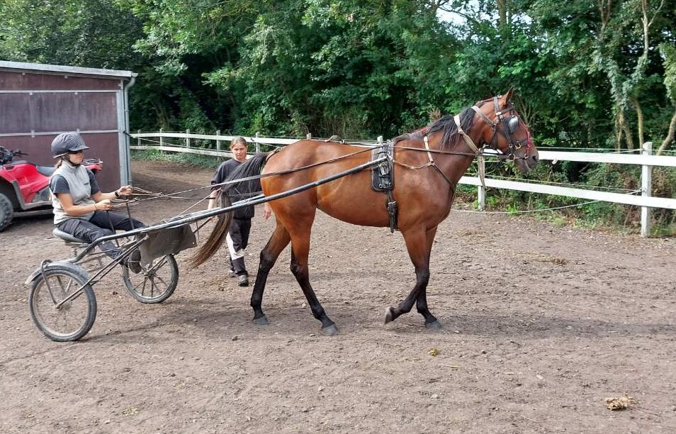 fdc29e70 1231 4013 b0bc b23593792c52 e1757683583890