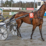 Sådan gik det i Skive fighter_k_2