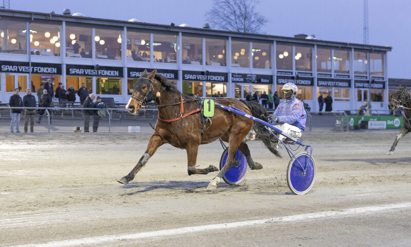 Gigant Toft
