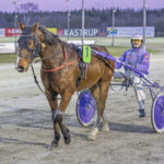 Salgsmenuen - Henvendelser fra to lande gigant_toft_4