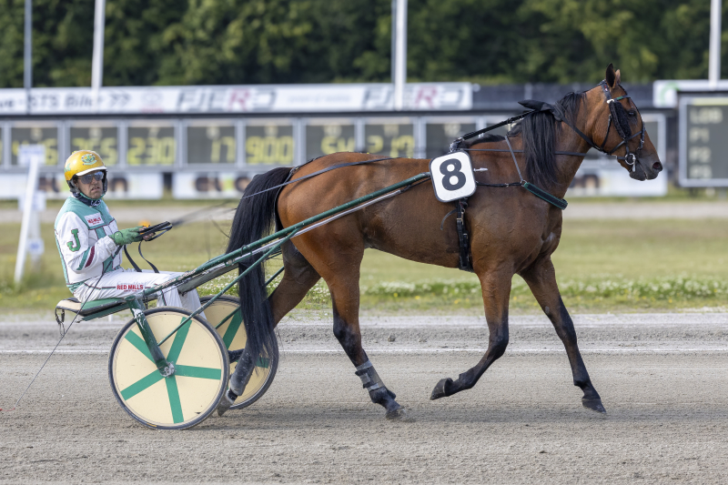 Kort nyt heres_johnny_2